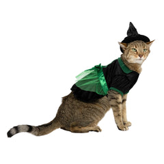 Vibrant Life Halloween Bad Witch Costume for Dogs and Cats, Green and Black