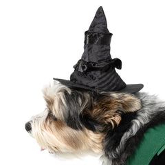 Vibrant Life Halloween Bad Witch Costume for Dogs and Cats, Green and Black