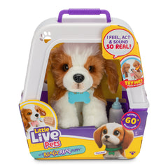 Little Live Pets My Really Real Puppy Beagle Patches, Interactive Toy 60+ Sounds & Reactions Ages 4+