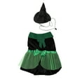 Vibrant Life Halloween Bad Witch Costume for Dogs and Cats, Green and Black
