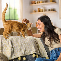 Meow Mix Seafood Medley Dry Cat Food, 14.2 lb. Bag