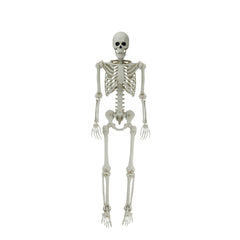 5ft White Poseable Skeleton Decoration, Halloween Outdoor Decor, by Way To Celebrate