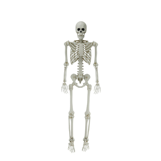 5ft White Poseable Skeleton Decoration, Halloween Outdoor Decor, by Way To Celebrate