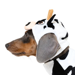 Vibrant Life Halloween Cow Costume for Dogs & Cats, Black and White