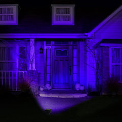 Halloween Black Flood Light Projection Light 2 Way Switch Gemmy 5.47 in x 3.58 in x 11.49 in 1.08 lb