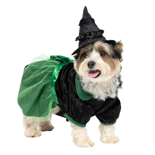 Vibrant Life Halloween Bad Witch Costume for Dogs and Cats, Green and Black