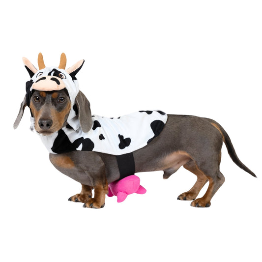 Vibrant Life Halloween Cow Costume for Dogs & Cats, Black and White
