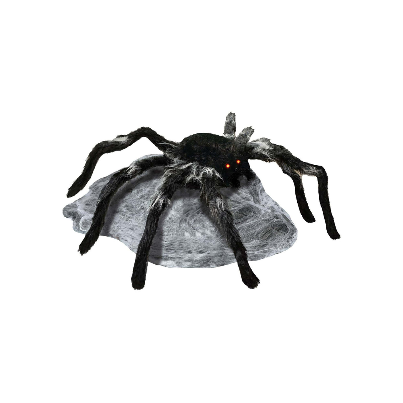 Jumping Spider Black