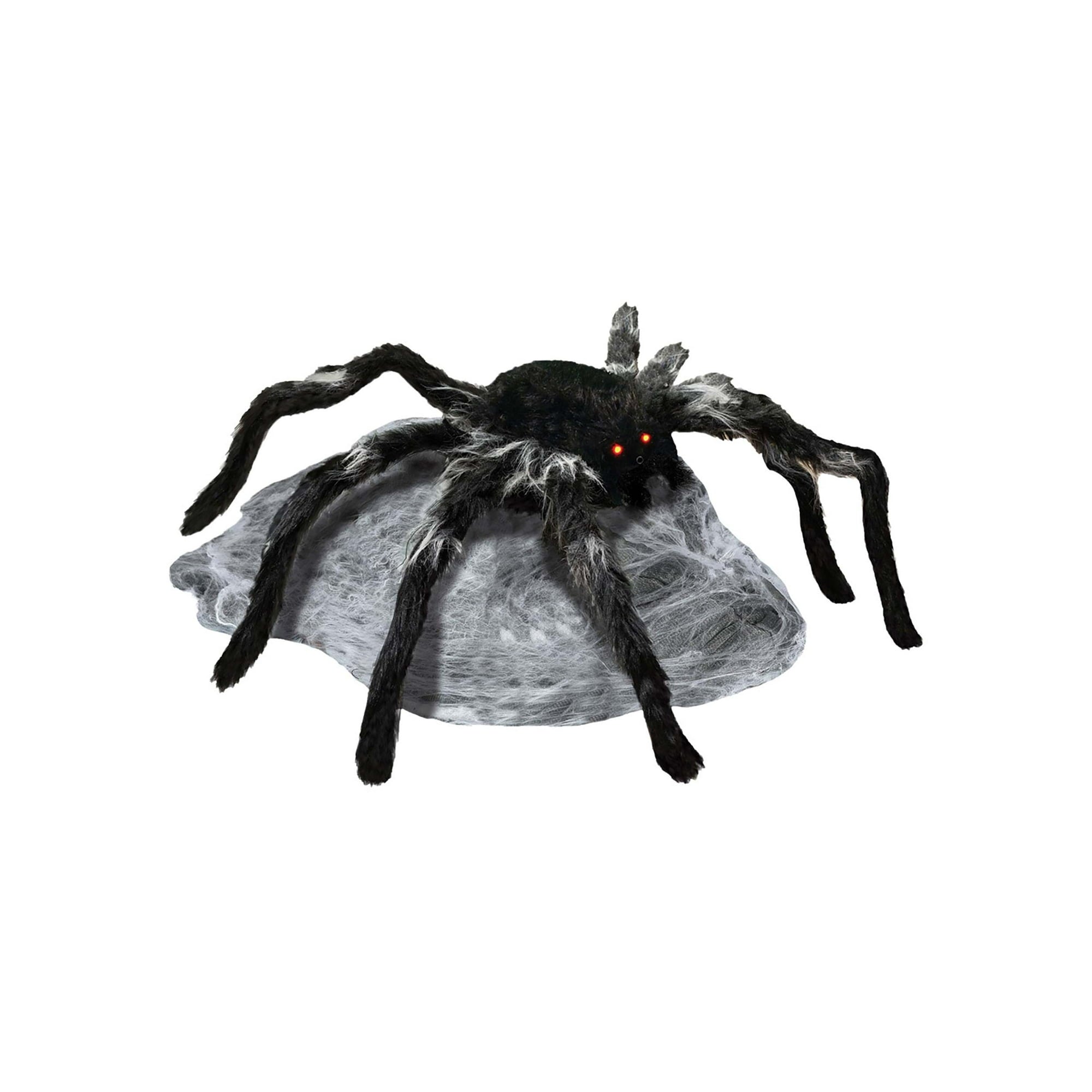 Jumping Spider Black