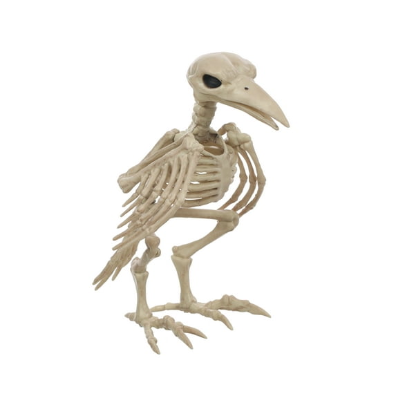 Official Crazybonez Faux Crow Skeleton
