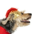 Vibrant Life Halloween Gladiator Costume for Dogs