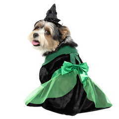 Vibrant Life Halloween Bad Witch Costume for Dogs and Cats, Green and Black