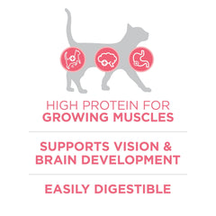 Purina ONE Plus, Healthy Kitten Formula, Dry Kitten Food, Chicken, 7 lb Bag