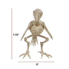 Official Crazybonez Faux Crow Skeleton